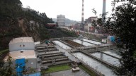 La Empresa Municipal de Aguas de Gijón asumirá la gestión de La Reguerona de forma provisional (y este es el motivo)