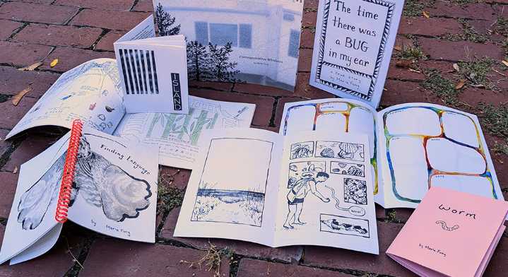 Somerville Zine Fest brings together a full newsstand of self