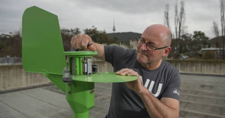 Rising pollen levels threaten Canberra asthma sufferers in summer