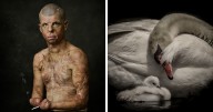 26 Amazing Photos That Won The Creative Photo Awards 2021