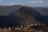 El campo después del fuego: «desgaste» tras un paisaje negro y voluntad de reconstrucción
