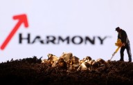 Harmony Biosciences' genetic disorder drug fails to meet main goal in late