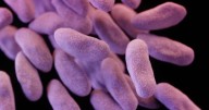 Why is the CDC warning about drug