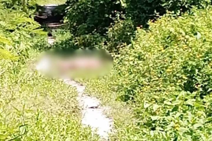 Investigan feminicidio de joven de 26 años hallada sin vida en Ciudad del Carmen