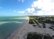 Otro procesado por desmonte ilegal de especie amenazada en Sisal, Yucatán