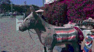 Family fights to save Olvera Street’s iconic donkey stand as trial looms