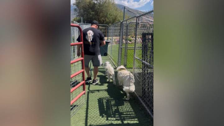 Utah nonprofit founder seeks community's help amid health battle