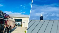 Bald eagle lands on Florida fire station during 9/11 remembrance ceremony