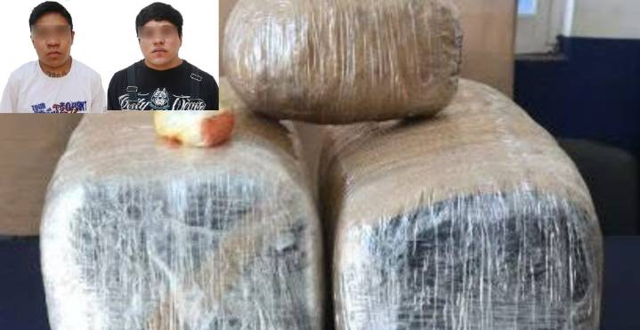 ¡Caen en terminal con casi 19 kilos de marihuana! Operativo detecta droga en maleta con olor penetrante