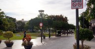 Estepona inicia los trámites para aprobar una ordenanza de patinetes eléctricos