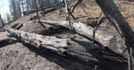 Rock Fire provides a silver lining for skiers at Tamarack Resort