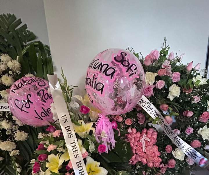 Paloma Nicole: estarán vigilantes del proceso de menor fallecida