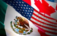 Publican en el DOF bases de las consultas públicas para revisión del T