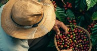 Este premio internacional es el más grande que ha conquistado este medio de comunicación del Eje Cafetero