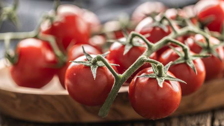 The Best Place To Grow Cherry Tomatoes Might Not Be Your Garden