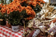 South SnoCo Playtime: Your Family Fun Guide for Sept. 1