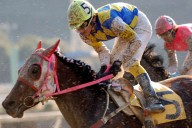 Retired Racehorse Haru Urara, Famous for Never Winning a Race, Dies at 29