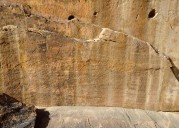 Scientists find ancient life-size animal rock carvings in the Saudi Arabian desert