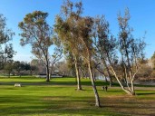 Huntington Beach City Council considers terminating Symphony of Flowers contract