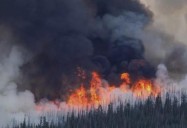 Lower Sugarloaf Fire Increases To Near 8,000 Acres, 0% Contained