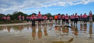 Anillan 546 polluelos de flamenco en Ría Lagartos y Ría Celestún