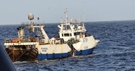 Detenidos el capitán y el primer oficial del barco ruso que colisionó con el navío gallego en Mauritania