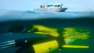 Threat of oxygen-poor ‘dead zones’ surfacing on BC central coast