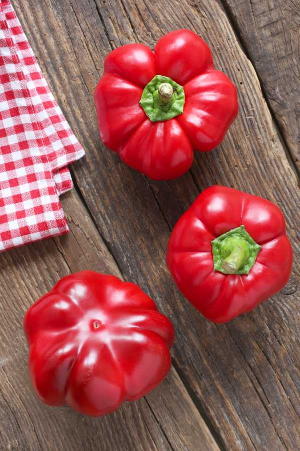 Red peppers star of panzanella