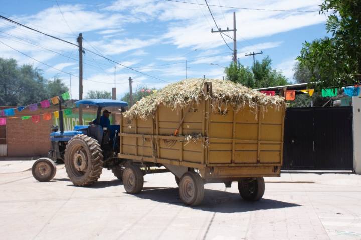 CAMPO SOLEDENSE SE FORTALECE CON LA COORDINACIÓN ENTRE AYUNTAMIENTO Y PRODUCTORES