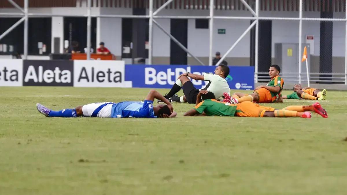 Susto en el partido Envigado vs. Millonarios: enjambre de avispas entró a la cancha y los jugadores tuvieron que lanzarse al piso, video