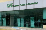 Estatal eléctrica mexicana coloca bono inaugural a 15 años por 725 millones de dólares