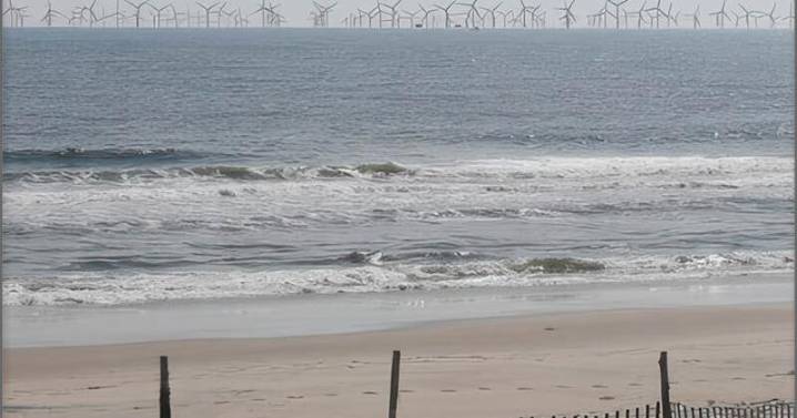Feds Respond to Save LBI Lawsuit with Motion to Reconsider Approvals for Massive Atlantic Shores Wind Farm Off the Coast of New Jersey