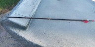 Cat killed with hunting arrow raises alarm about Yuma cat colonies