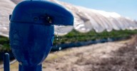 La (im)paciencia de los regantes de Doñana