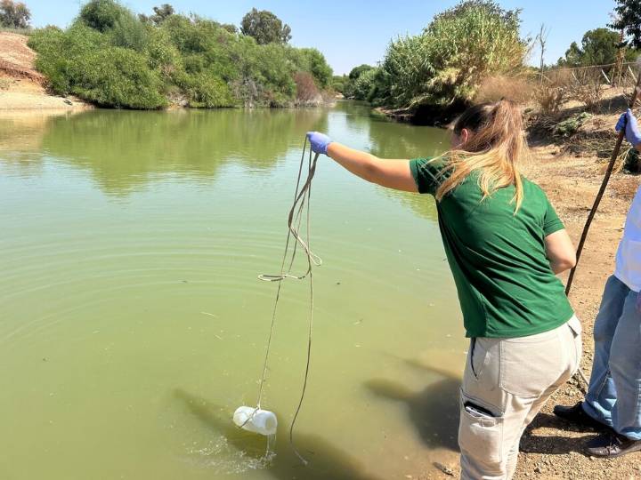 La gripe aviar está detrás de la muerte de 68 aves en el Parque del Tamarguillo