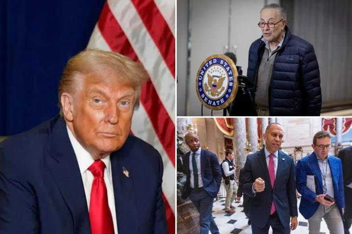 Dem leaders beg Trump for meeting as GOP stands firm in shutdown fight: 'We know we’re not going to get everything'