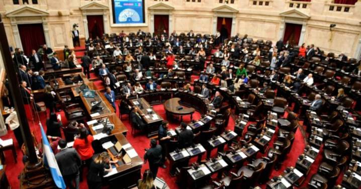 Diputados debate el rechazo a los vetos de Garrahan y Universidades