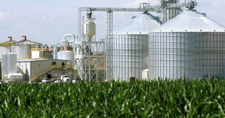 Nación volvió a aumentar el precio del biodiésel: segunda suba en 10 días que presiona los surtidores