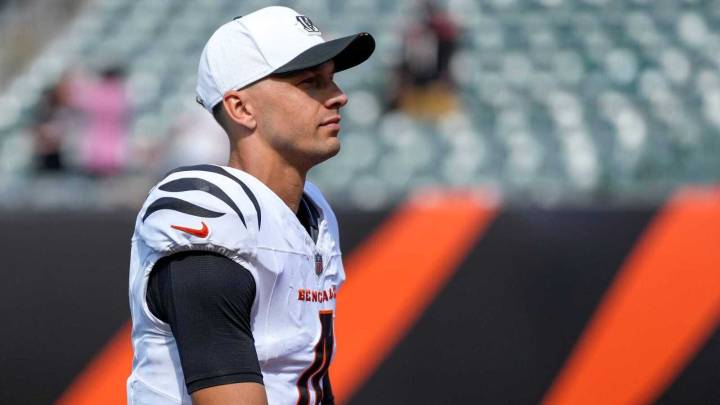 Vikings sign new quarterback amid recent injury