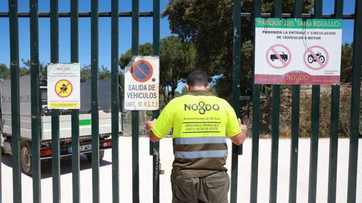 Mueren más aves en Sevilla: el brote de gripe aviar del Tamarguillo es de alta patogenicidad