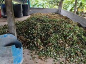 Ejército Nacional desmanteló cinco laboratorios de cocaína en el Putumayo
