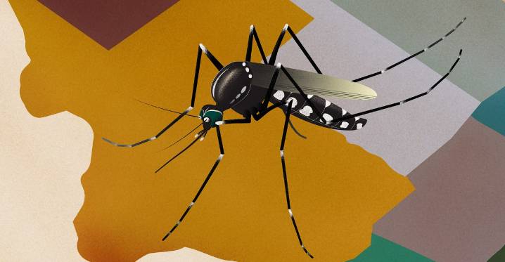 The US is on the verge of a mosquito-borne disease crisis