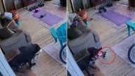 Texas Dog Owner’s Suspicion Grows As Food Disappears, Until The Camera Reveals A Hidden Clue