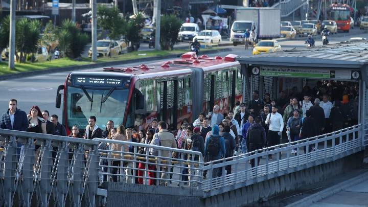 Un gato y un perro fueron rescatados en TransMilenio; los utilizaban para pedir dinero