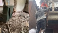 Missouri Pup Balanced On A Dangerous Roof Finds Safety In The Most Epic Way