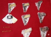 10 semi-automatic guns seized as Odisha Police nabs notorious arms dealer