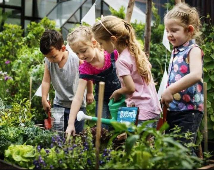 Huertas escolares refuerzan educación ambiental