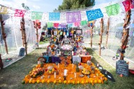 City of Mission to host Dia de los Muertos craft day