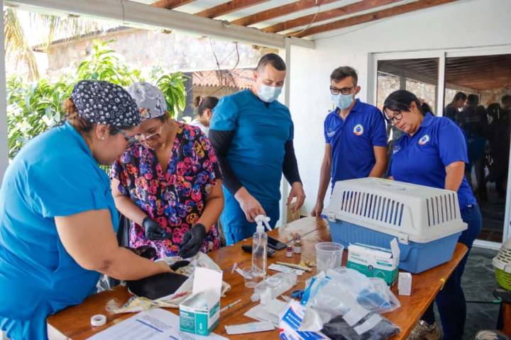 Alcaldía de Maneiro y Colegio de Veterinarios logran alianza para esterilizar mascotas