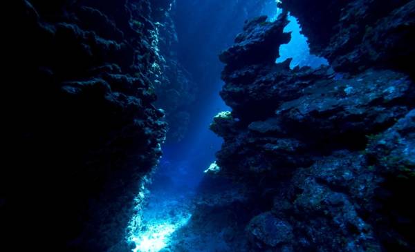La ciencia argentina vuelve a transmitir vía streaming los misterios debajo del mar
